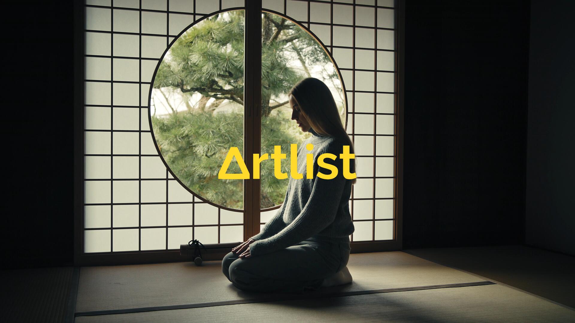 Artlist 11个热门商业广告短片摄像机实拍LOG/RAW原始灰片调色练习片段视频素材（13354）图层云