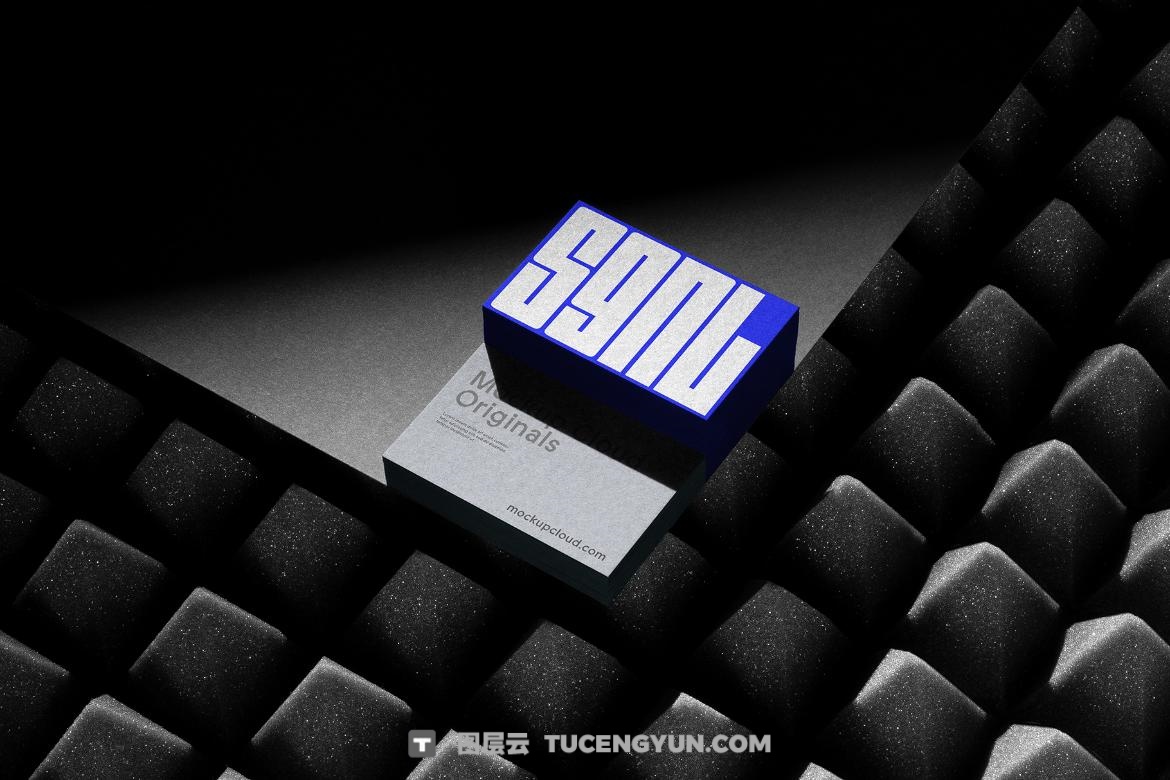 31个暗色质感企业VI文创品牌T恤手机电脑手提袋帆布袋名片海报设计展示PSD套装 SGNL Branding Mockups（13362）图层云