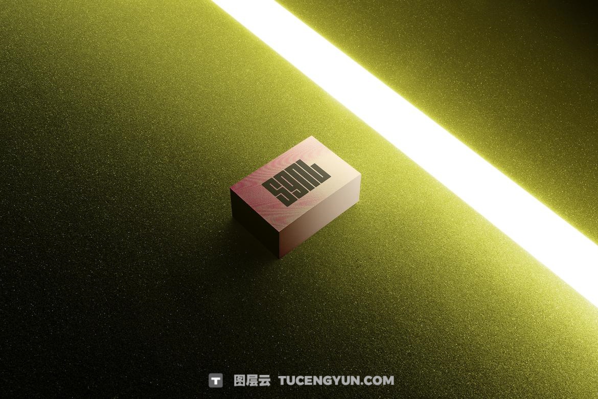 31个暗色质感企业VI文创品牌T恤手机电脑手提袋帆布袋名片海报设计展示PSD套装 SGNL Branding Mockups（13362）图层云
