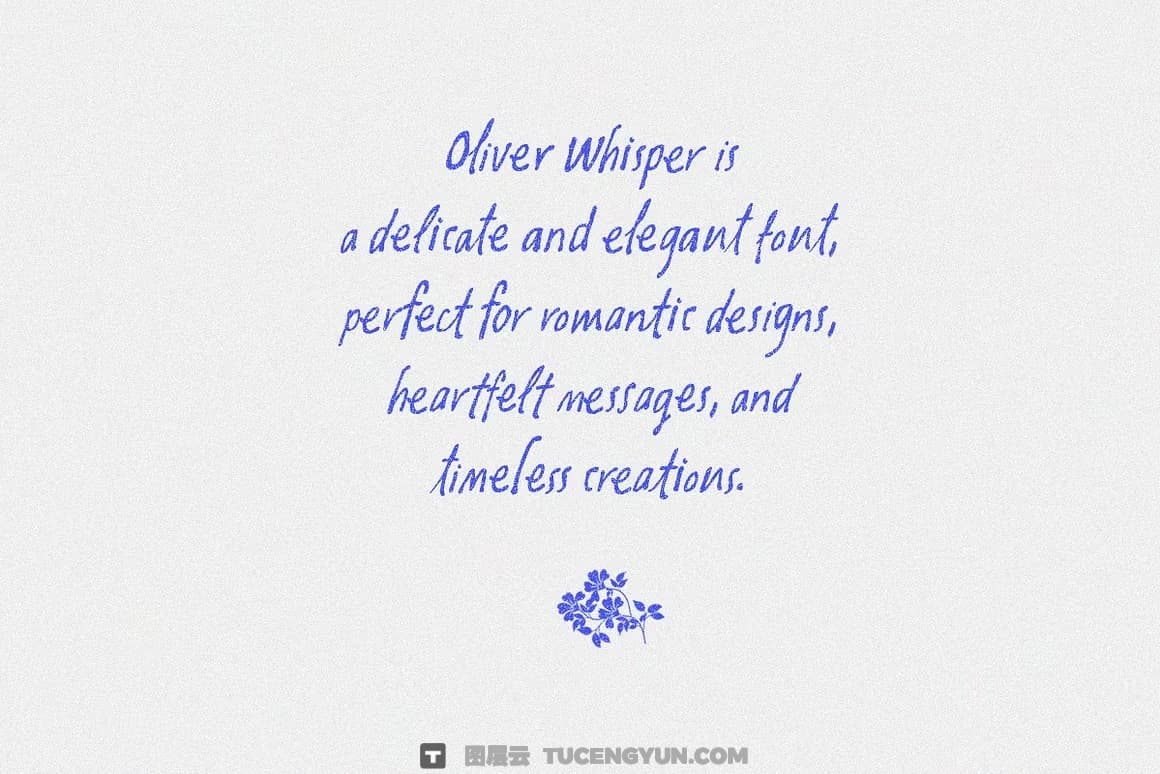 英文字体：复古潦草做旧手写风格钢笔水墨墨迹纹理笔触字体包 Oliver Whisper Messy Handwritten（13439）图层云