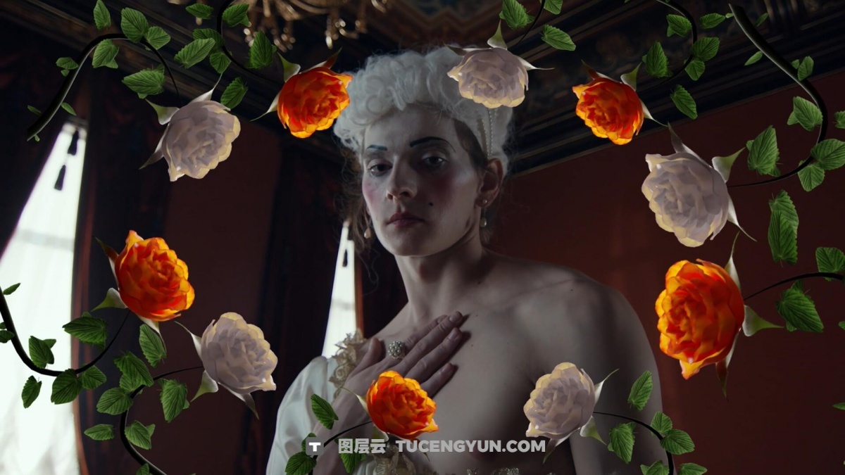 视频素材：42个梦幻情绪风格花卉生长盛开短片剪辑透明通道MOV视频素材（13454）图层云