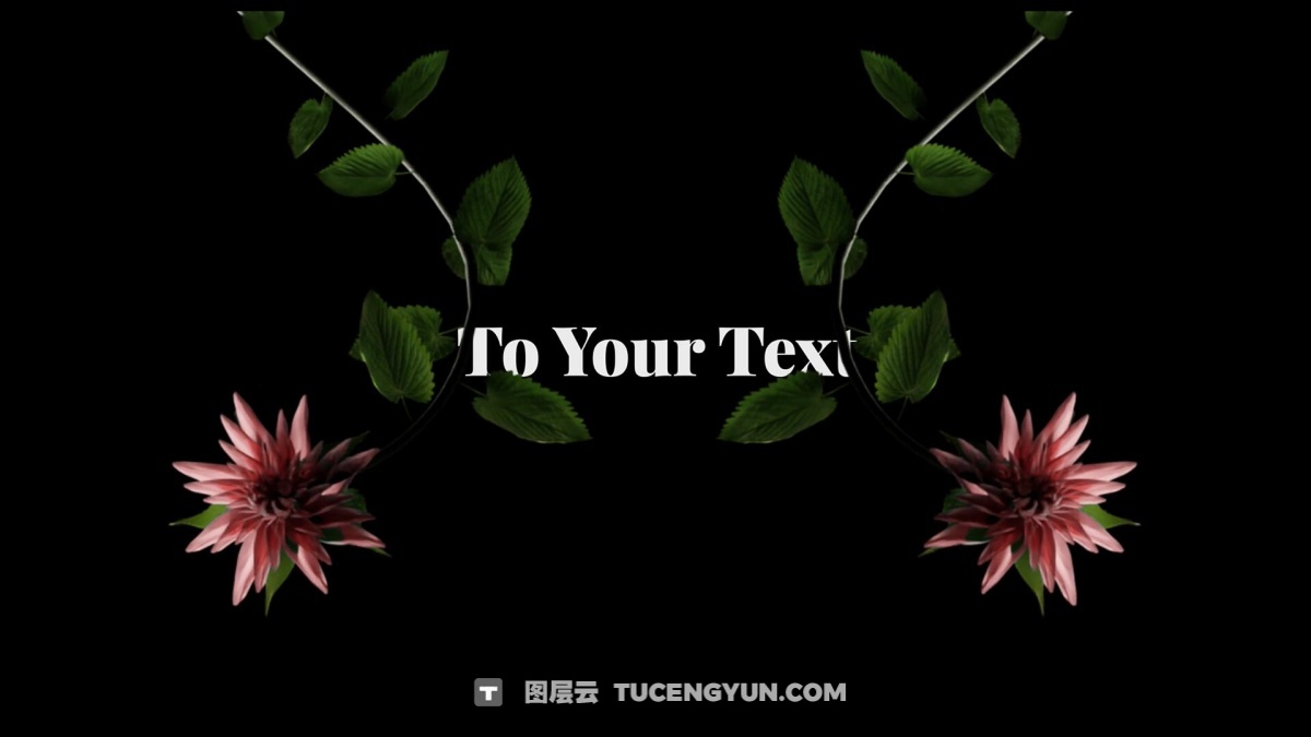 视频素材：42个梦幻情绪风格花卉生长盛开短片剪辑透明通道MOV视频素材（13454）图层云