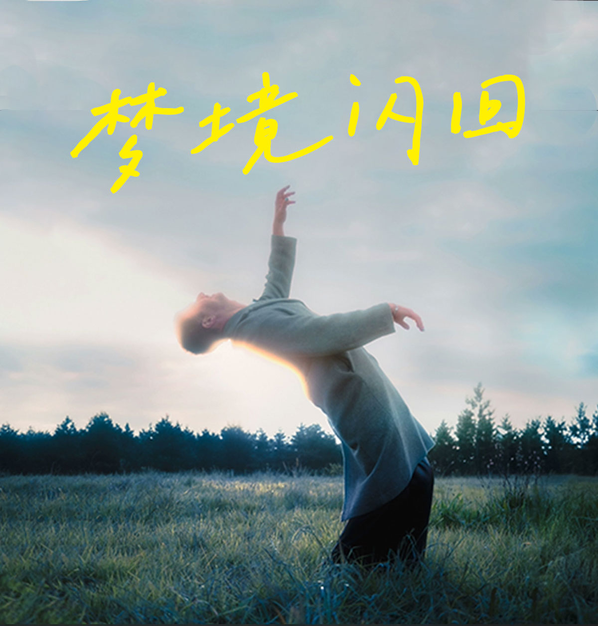 FCPX插件：17个梦境闪回眩晕回忆画面闪烁电影视觉转场过渡+效果（13637）