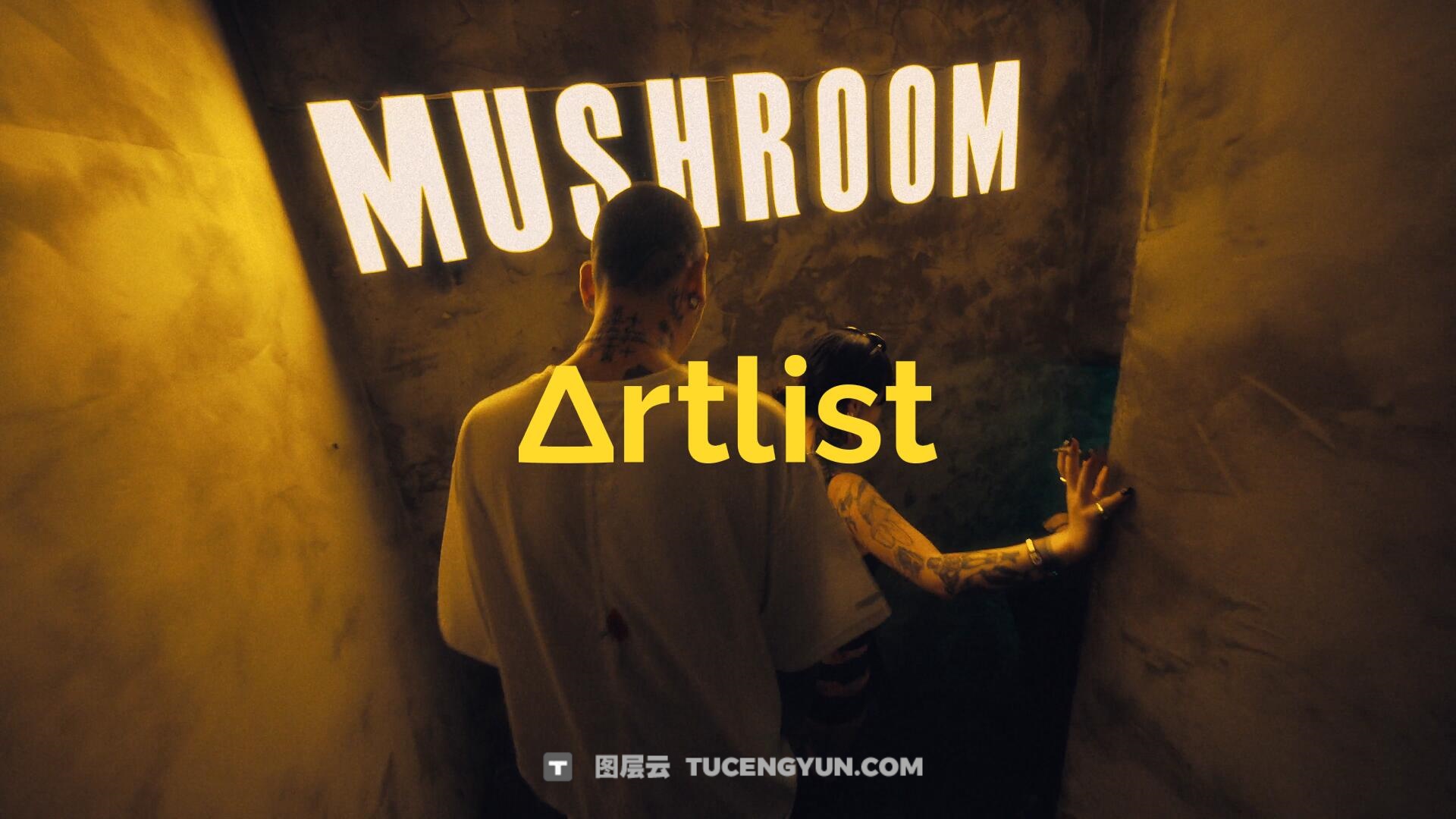 Artlist 10个热门商业广告短片摄像机实拍LOG/RAW原始灰片调色练习片段视频素材（13683）图层云