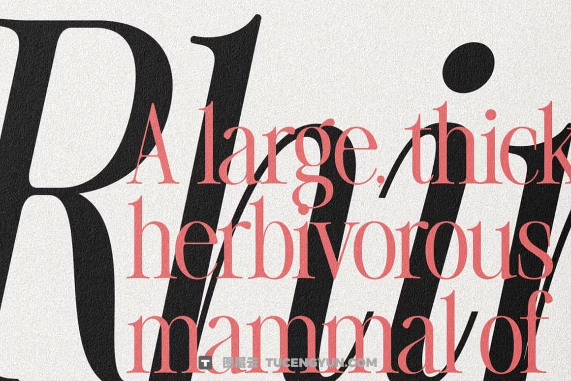 英文字体：80年代高级时装杂志文艺logo标题衬线排版海报封面字体 The Silver Editorial Serif Font（13707）图层云