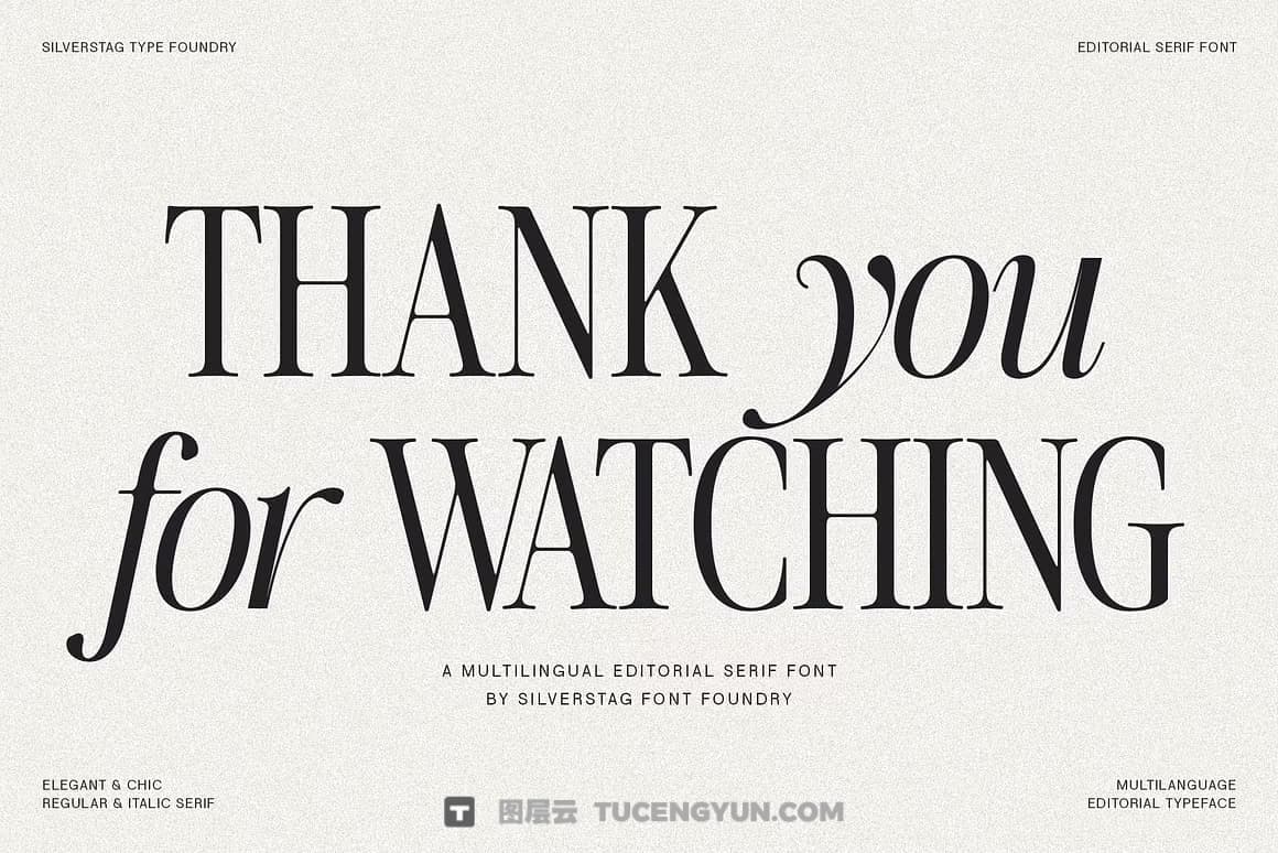 英文字体：80年代高级时装杂志文艺logo标题衬线排版海报封面字体 The Silver Editorial Serif Font（13707）图层云