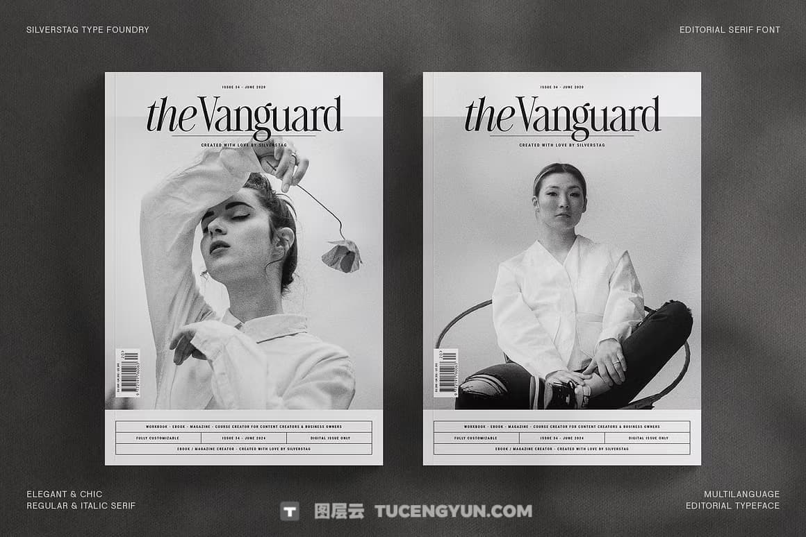 英文字体：80年代高级时装杂志文艺logo标题衬线排版海报封面字体 The Silver Editorial Serif Font（13707）图层云