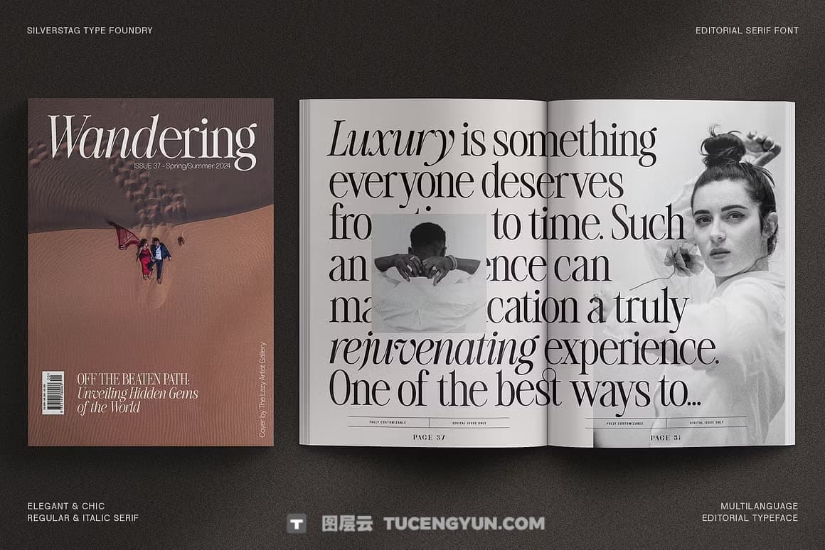 英文字体：80年代高级时装杂志文艺logo标题衬线排版海报封面字体 The Silver Editorial Serif Font（13707）图层云