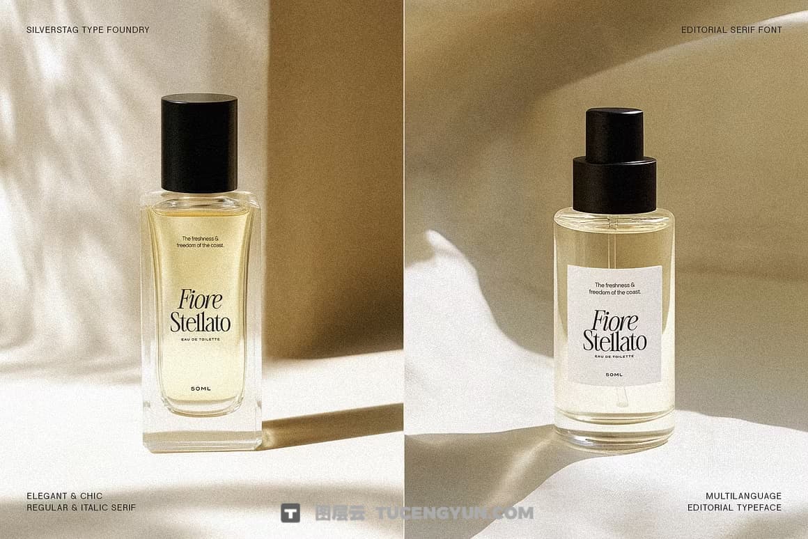 英文字体：80年代高级时装杂志文艺logo标题衬线排版海报封面字体 The Silver Editorial Serif Font（13707）图层云