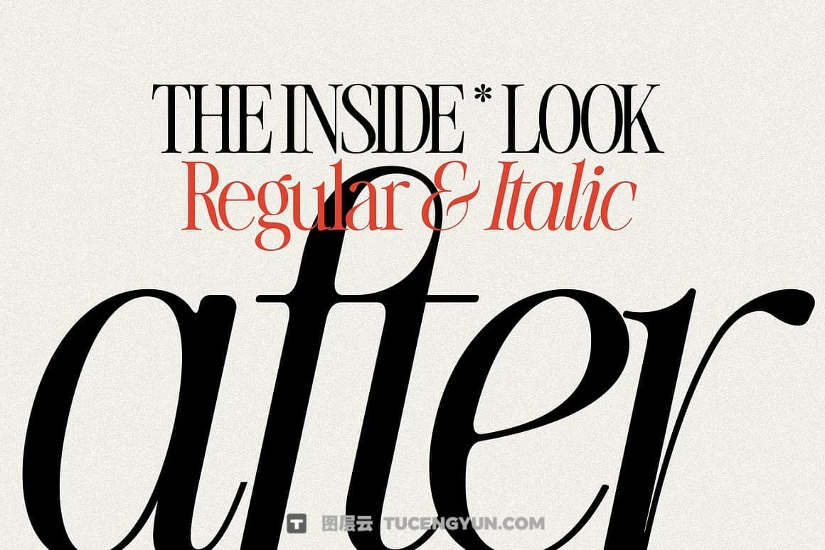 英文字体：80年代高级时装杂志文艺logo标题衬线排版海报封面字体 The Silver Editorial Serif Font（13707）图层云