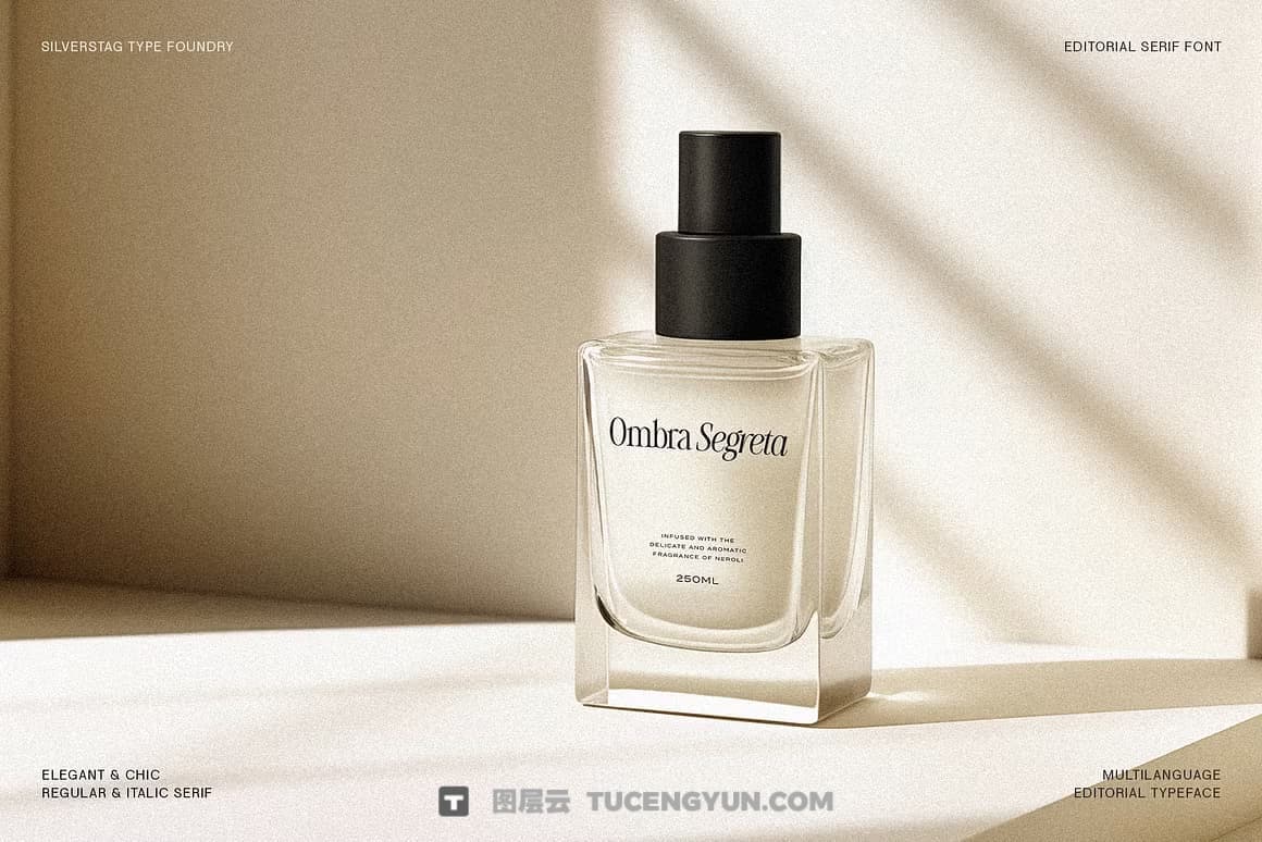 英文字体：80年代高级时装杂志文艺logo标题衬线排版海报封面字体 The Silver Editorial Serif Font（13707）图层云
