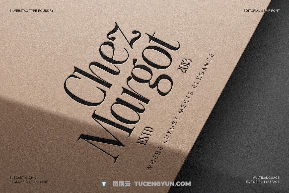 英文字体：80年代高级时装杂志文艺logo标题衬线排版海报封面字体 The Silver Editorial Serif Font（13707）图层云