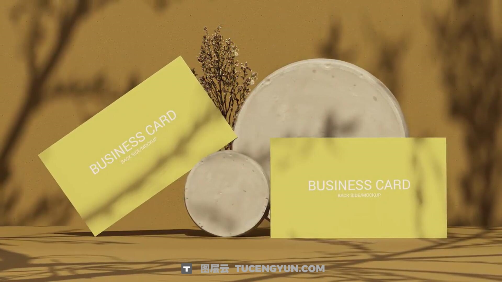 FCPX插件:极简优雅质感树荫光影投影3D布景品牌名片展示(13748)图层云 FCPX插件:极简优雅质感树荫光影投影3D布景品牌名片展示(13748)图层云