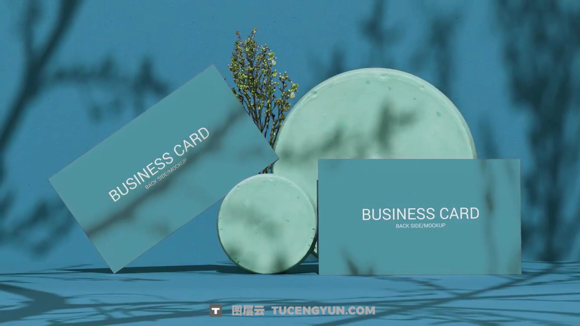 FCPX插件:极简优雅质感树荫光影投影3D布景品牌名片展示(13748)图层云 FCPX插件:极简优雅质感树荫光影投影3D布景品牌名片展示(13748)图层云