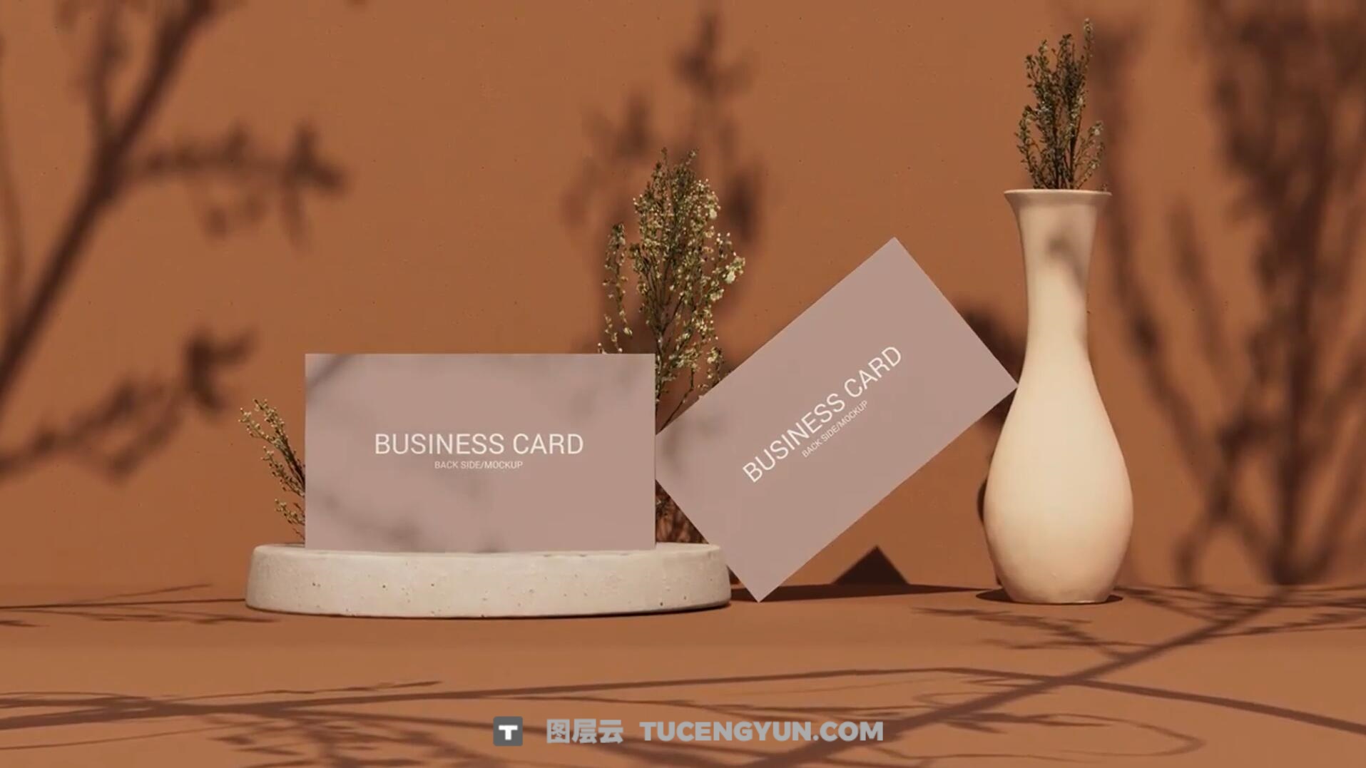 FCPX插件:极简优雅质感树荫光影投影3D布景品牌名片展示(13748)图层云 FCPX插件:极简优雅质感树荫光影投影3D布景品牌名片展示(13748)图层云