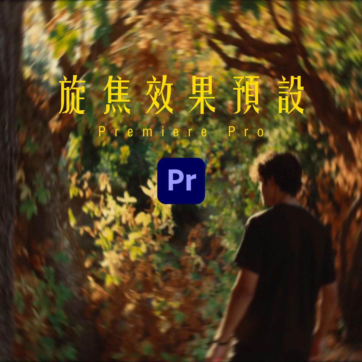 PR预设:热门梦幻氛围旋焦效果预设(13752)