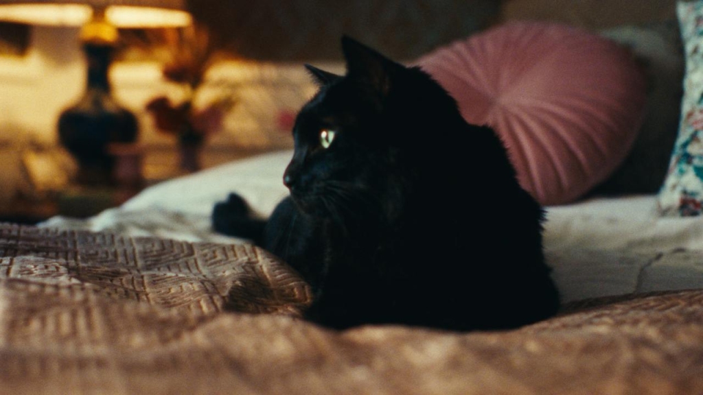 复古电影胶片色彩分级颗粒光晕模拟工具 Dehancer Pro OFX 达芬奇/FCPX/AE/PR/PS/LR/Capture One Win/Mac破解版(7587)图层云 复古电影胶片色彩分级颗粒光晕模拟工具 Dehancer Pro OFX 达芬奇/FCPX/AE/PR/PS/LR/Capture One Win/Mac破解版(7587)图层云