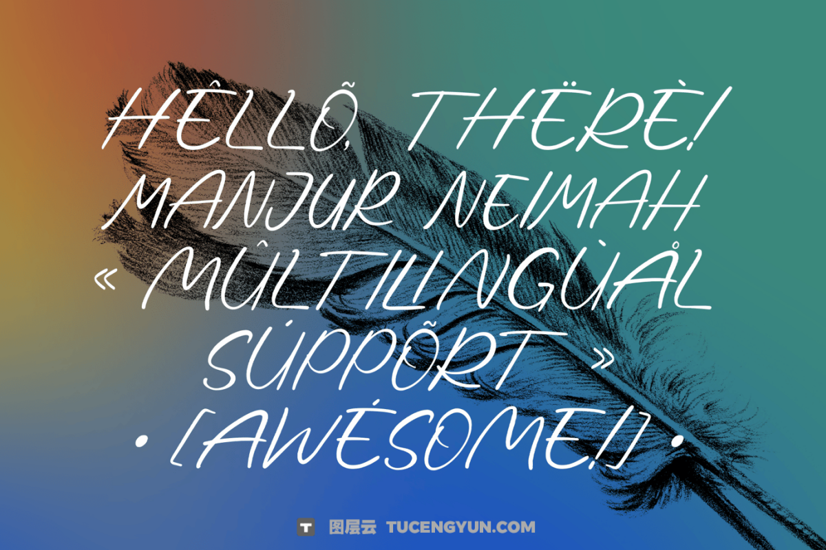 英文字体:复古美学手写细腻笔触品牌海报标志封面设计字体 Manjur neimah – handwritten brush modern logo font(13897)图层云 英文字体:复古美学手写细腻笔触品牌海报标志封面设计字体 Manjur neimah – handwritten brush modern logo font(13897)图层云