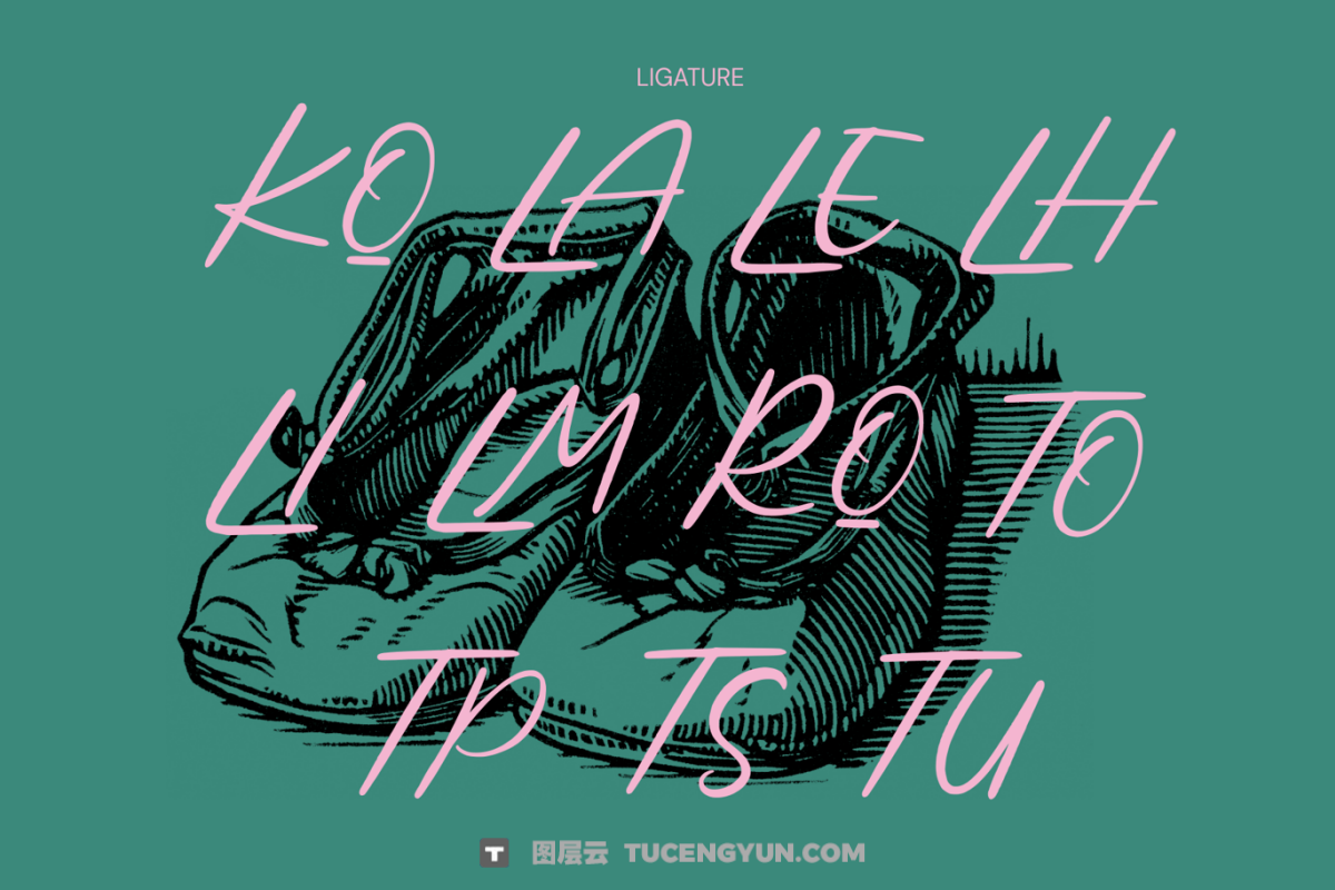 英文字体:复古美学手写细腻笔触品牌海报标志封面设计字体 Manjur neimah – handwritten brush modern logo font(13897)图层云 英文字体:复古美学手写细腻笔触品牌海报标志封面设计字体 Manjur neimah – handwritten brush modern logo font(13897)图层云