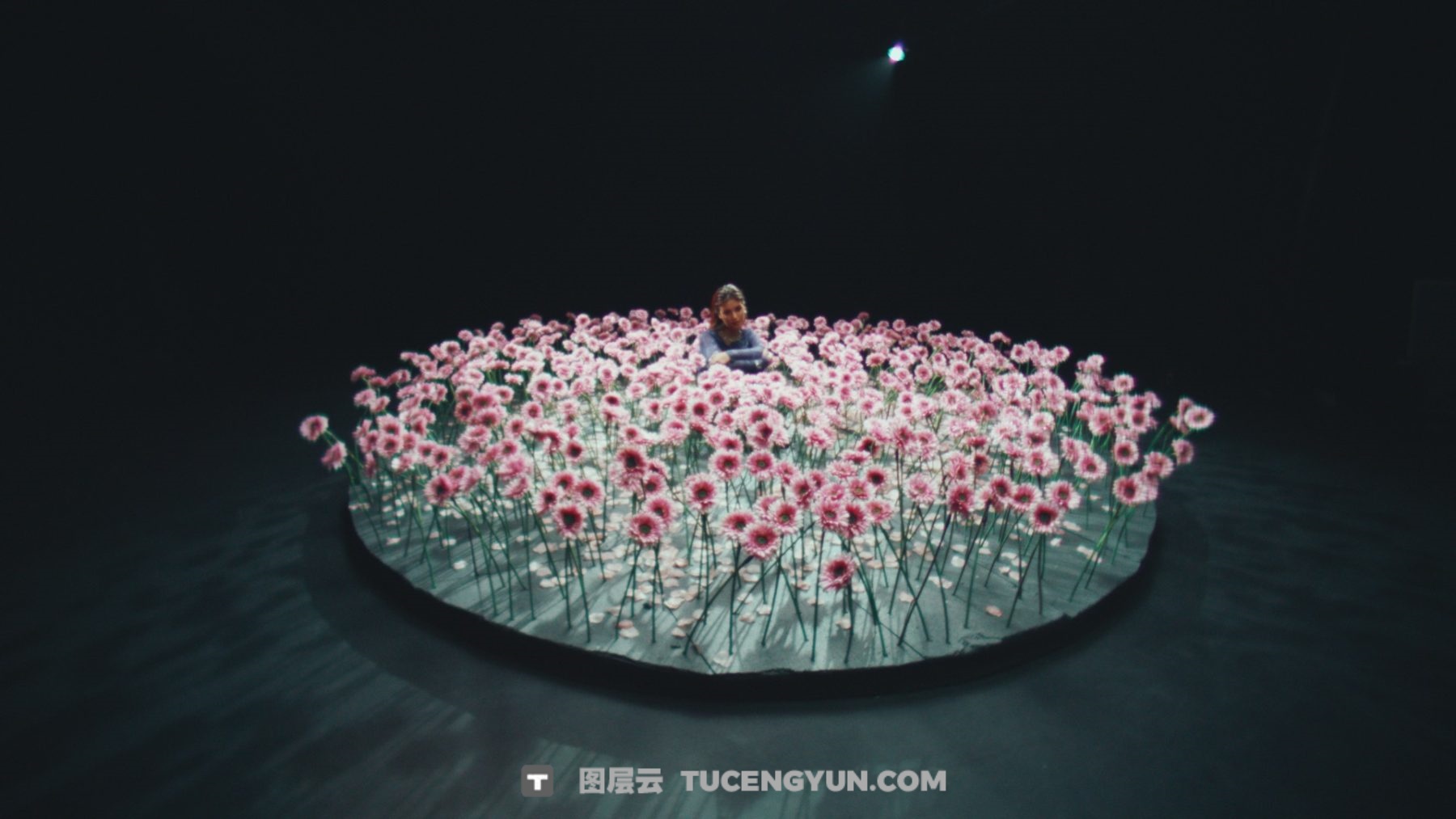 GAMUT – X88 LUTs 经典电影感柯达2383胶片仿真模拟LUT调色预设（13816）图层云