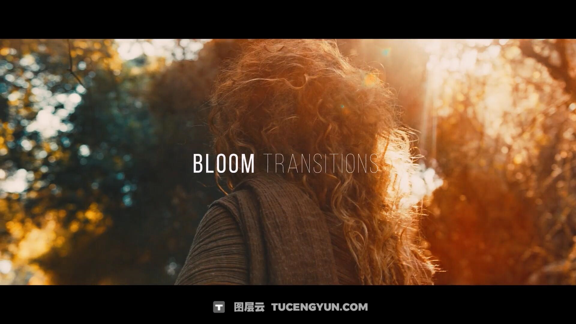AE/达芬奇模板：24种黄金日落氛围婚礼电影剪辑光线闪光、光晕、漏光、柔和模糊转场过渡（13819）图层云