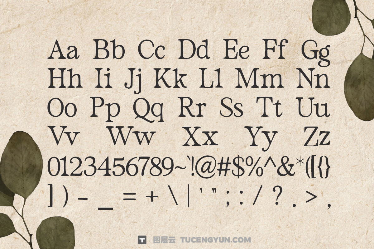 英文字体：老式经典永恒优雅封面海报设计排版设计衬线字体 Old Style Serif – Bilena（13830）图层云