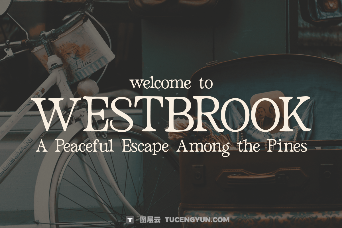 英文字体：老式经典永恒优雅封面海报设计排版设计衬线字体 Old Style Serif – Bilena（13830）图层云