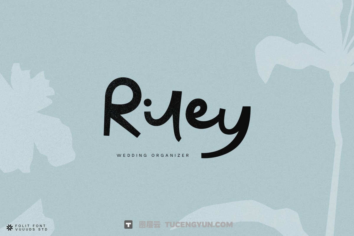 英文字体：大胆重量粗体动态风格手写连笔品牌海报封面设计 Folit（13834）图层云