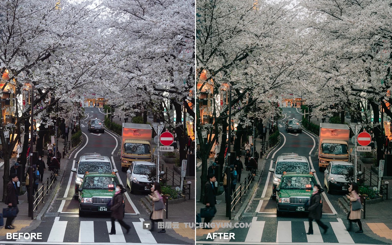 LR预设：独特风格旅行、自然风景、街拍摄影Lightroom预设 Peter Yan Studio – The Master Collection Lightroom Presets（13851）图层云