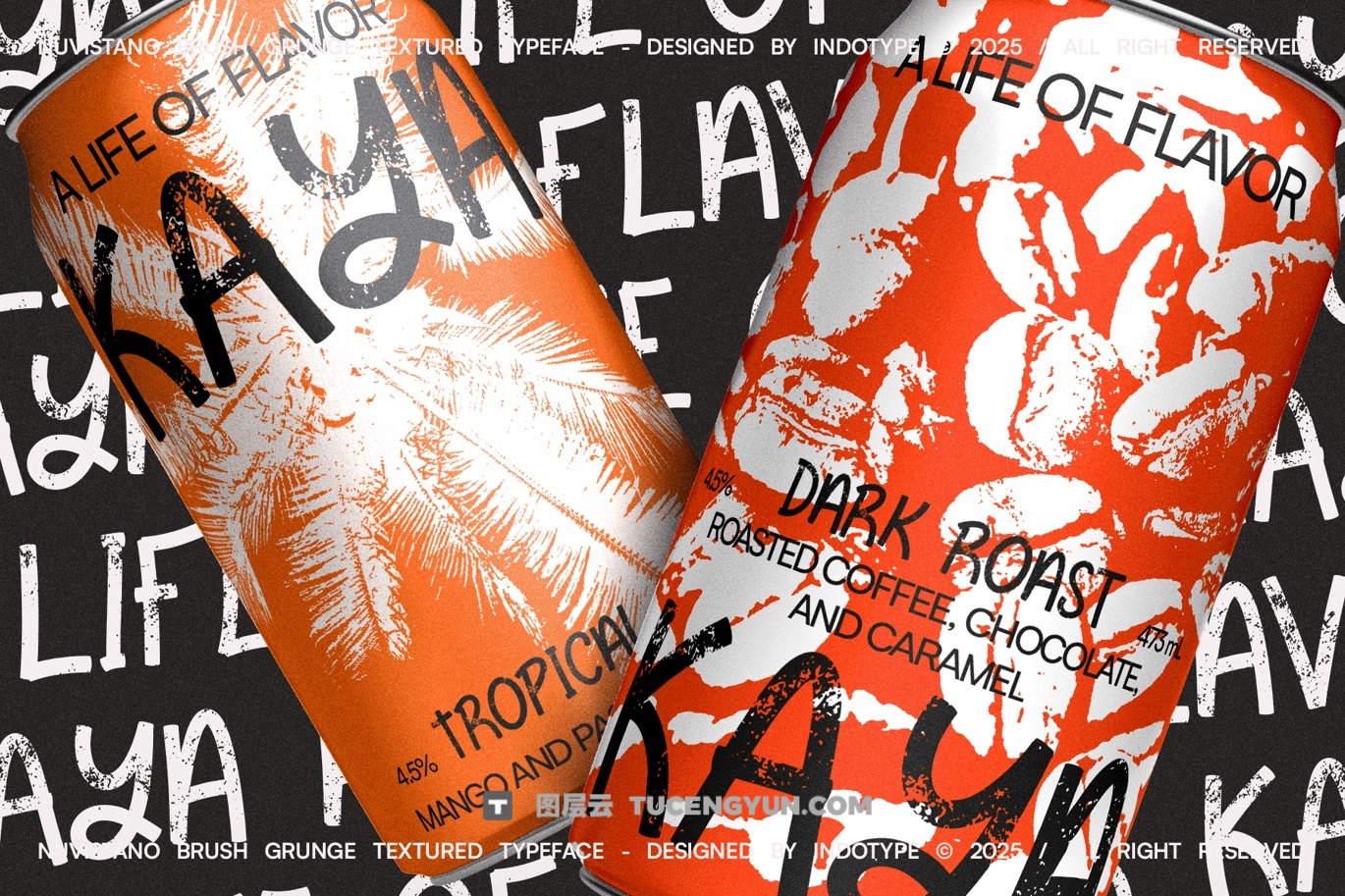 英文字体：大胆野性粗糙磨损边缘画笔油漆飞溅纹理封面海报设计无衬线字体（13853）图层云