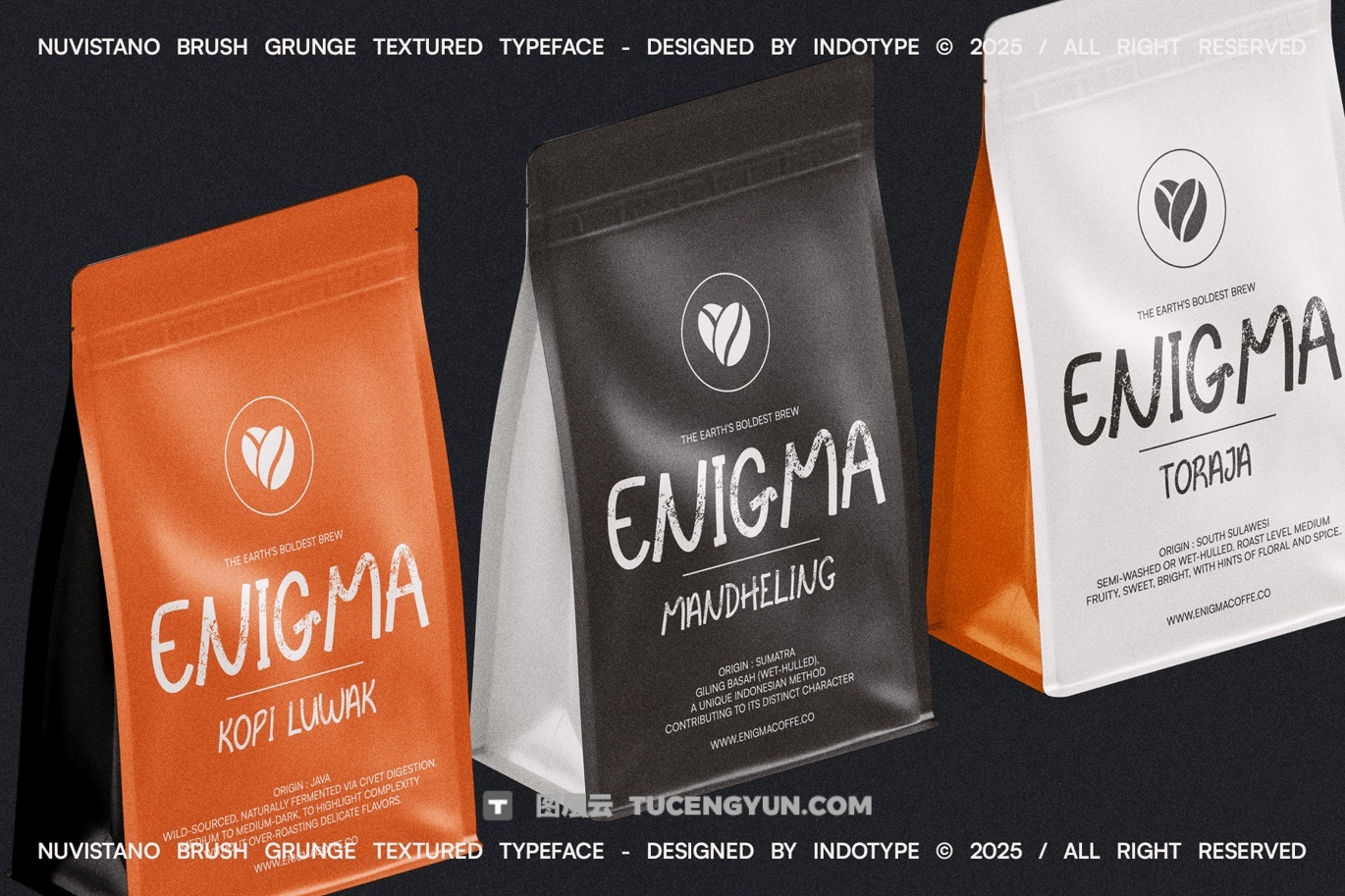 英文字体：大胆野性粗糙磨损边缘画笔油漆飞溅纹理封面海报设计无衬线字体（13853）图层云