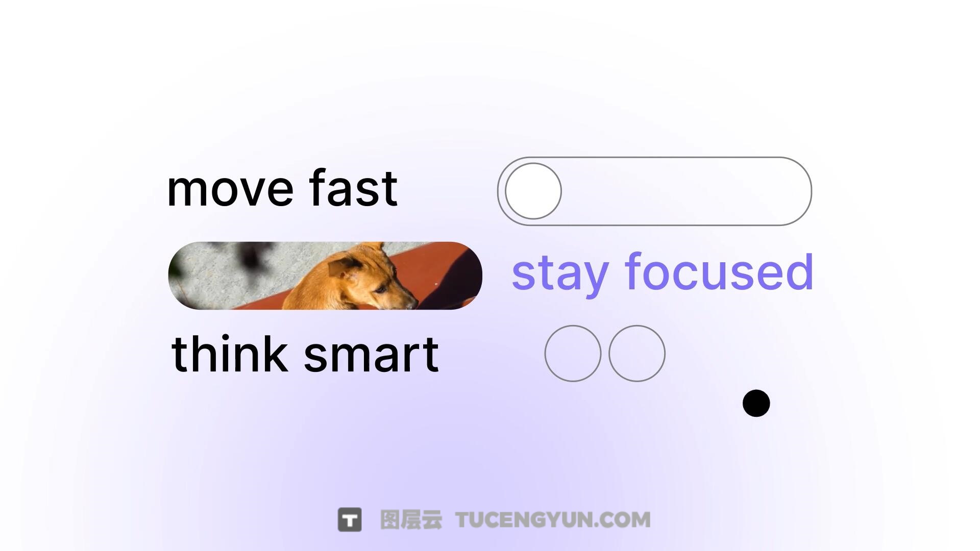 AE模板：创意级SaaS品牌数字服务产品介绍短片动画（13857）图层云