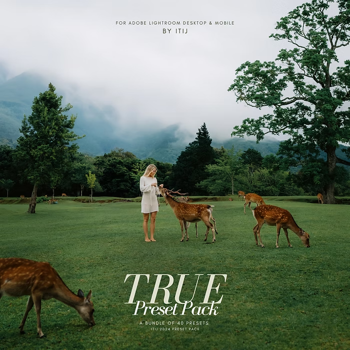 LR预设：真实户外旅拍婚礼人像摄影lightroom预设 Itijarve – True Preset Pack（13911）图层云