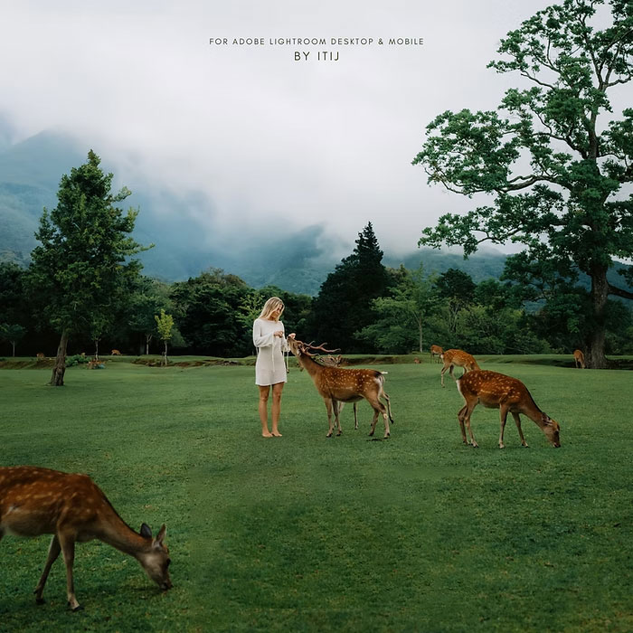 LR预设：真实户外旅拍婚礼人像摄影lightroom预设 Itijarve – True Preset Pack（13911）