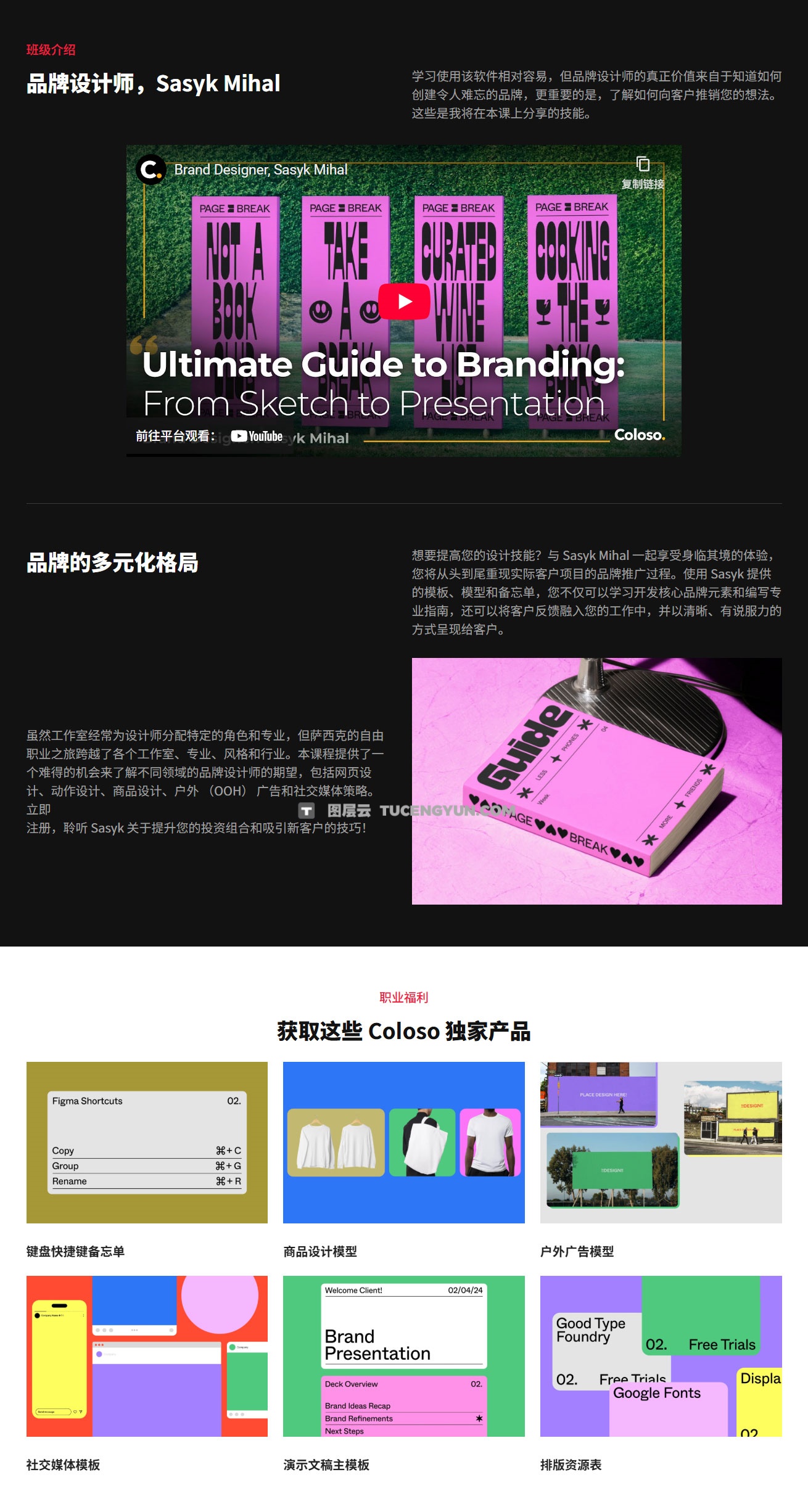 大师课程：掌握Figma从草图到演示品牌设计终极指南视频课程 中文字幕（13932）图层云