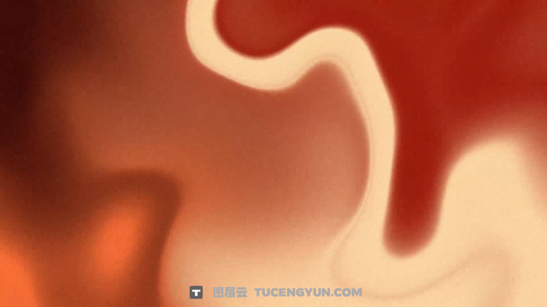 AE模板：大胆抽象模糊混合流动几何渐变液体波浪视频背景动画模板（13948）图层云