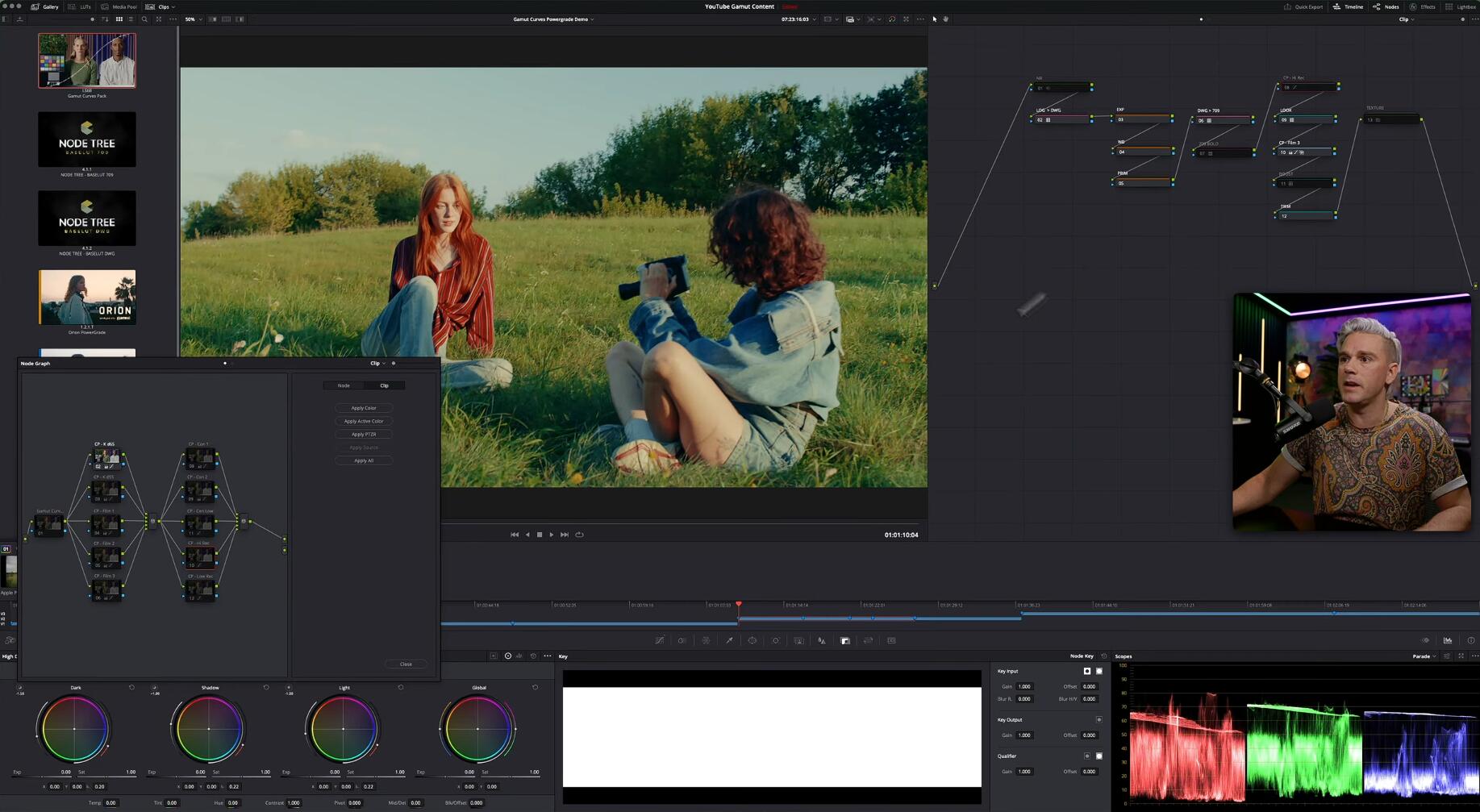 独特电影感色彩外观开发曲线LUTs+达芬奇调色节点 Gamut Curves LUTs + Powergrade（13960）图层云