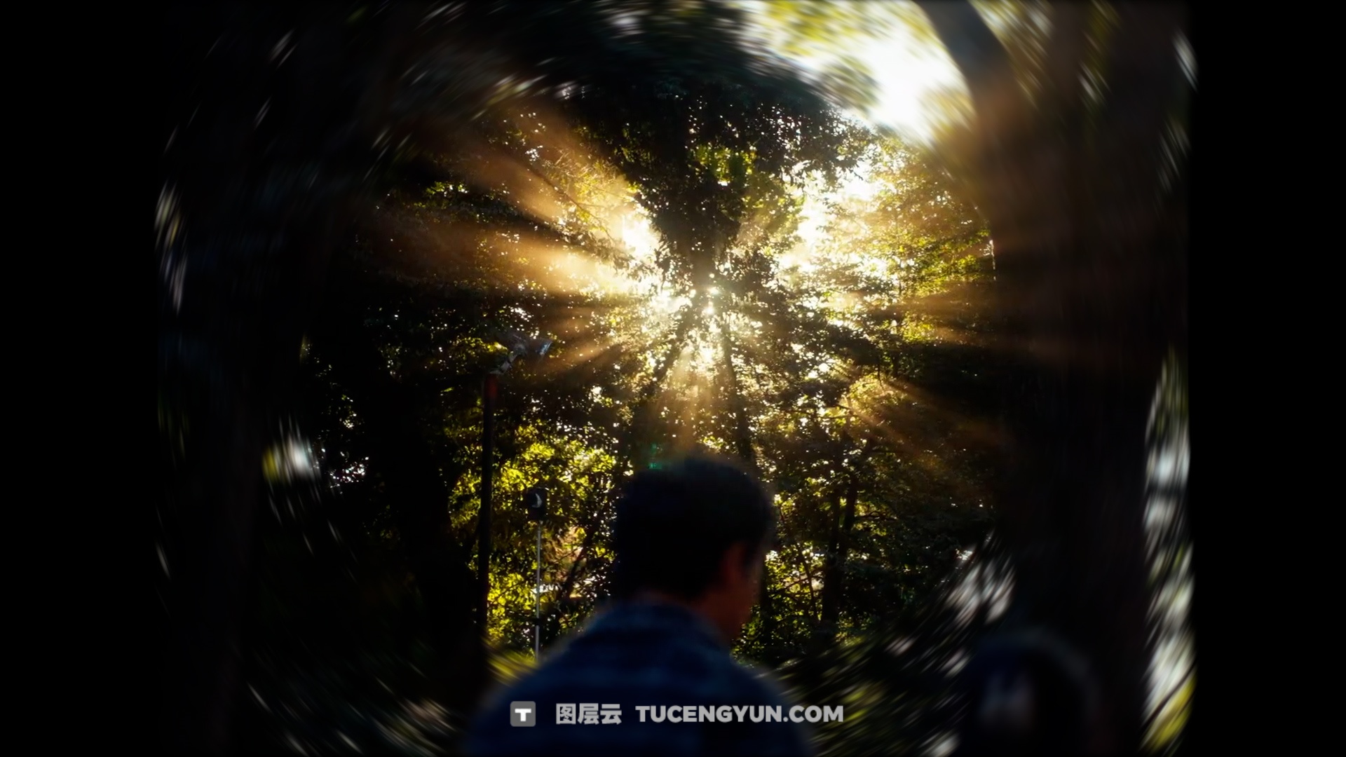 FCPX插件：热门梦幻氛围旋焦效果预设（13945）图层云