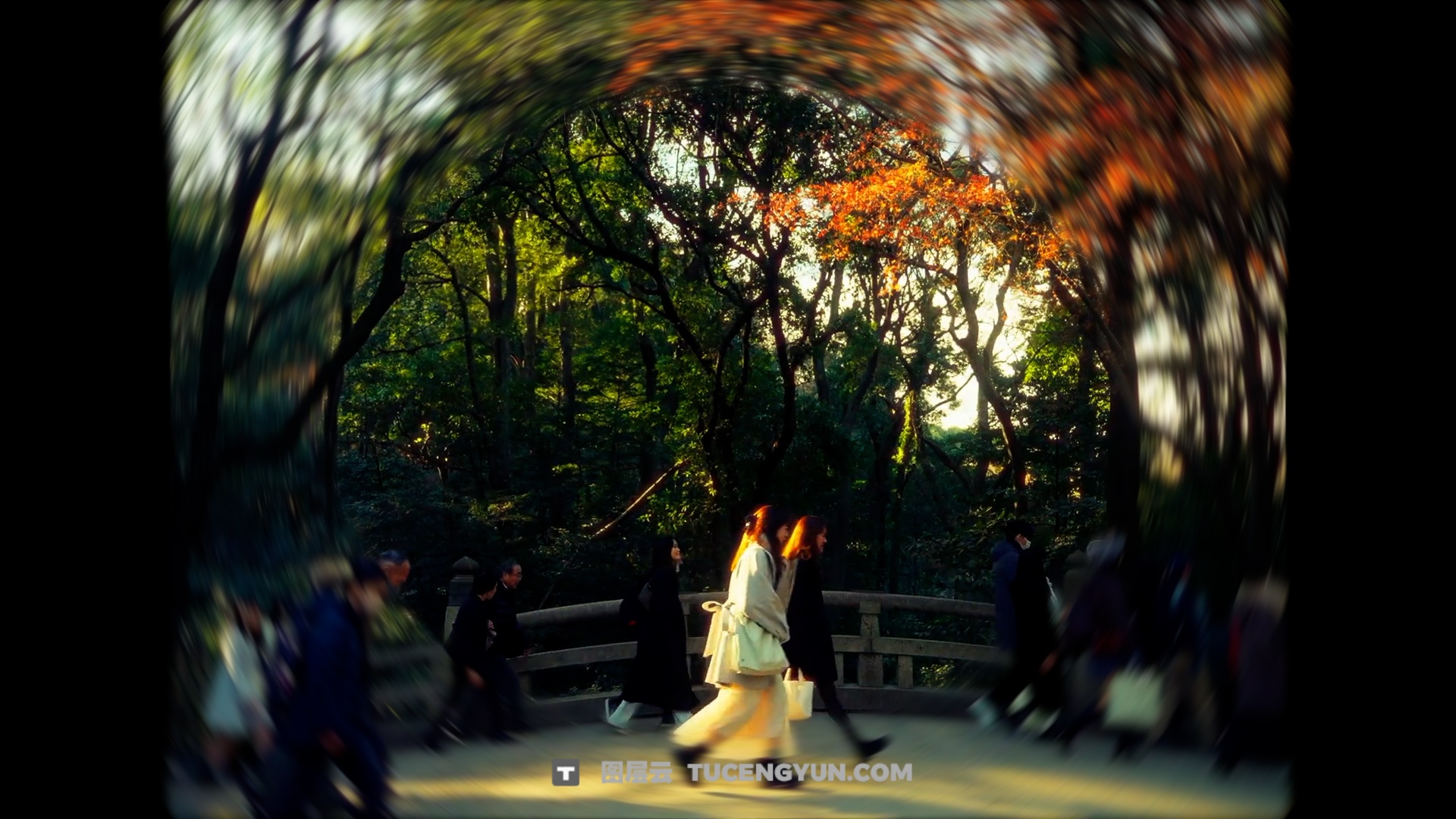 FCPX插件：热门梦幻氛围旋焦效果预设（13945）图层云