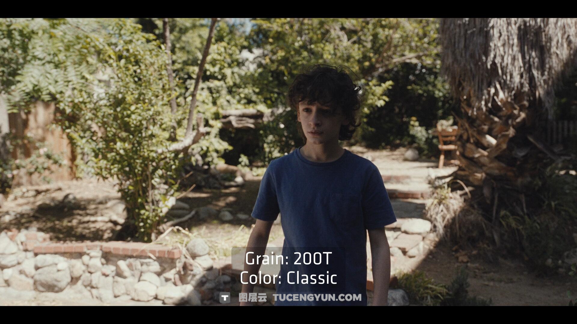 达芬奇插件：ARRI出品经典胶片模拟视频影像调色插件 ARRI Film Lab 1.0.2 for Resolve WIN版（14010）图层云