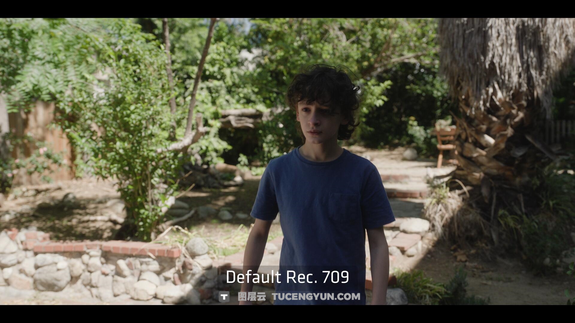 达芬奇插件：ARRI出品经典胶片模拟视频影像调色插件 ARRI Film Lab 1.0.2 for Resolve WIN版（14010）图层云