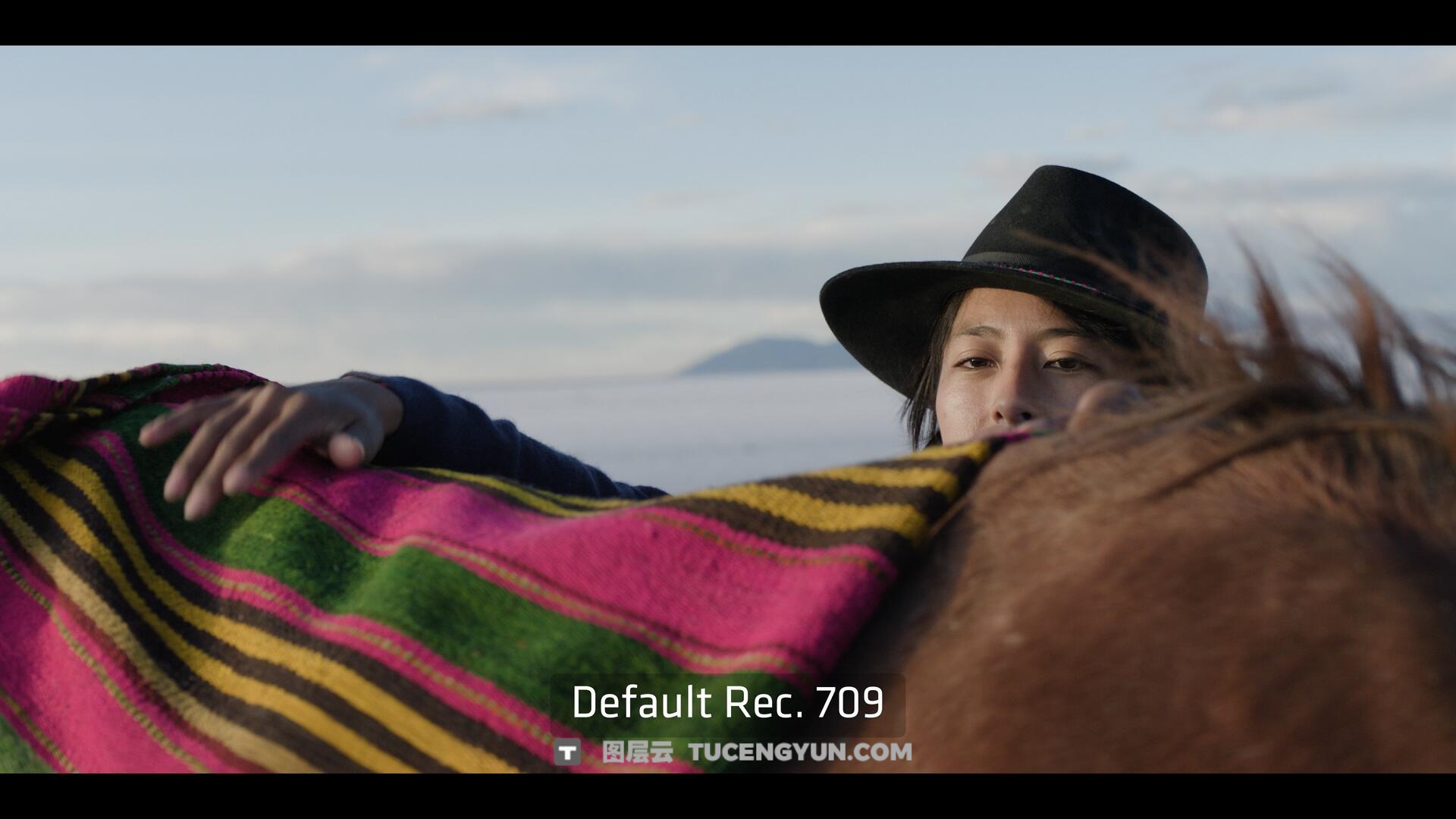 达芬奇插件：ARRI出品经典胶片模拟视频影像调色插件 ARRI Film Lab 1.0.2 for Resolve WIN版（14010）图层云