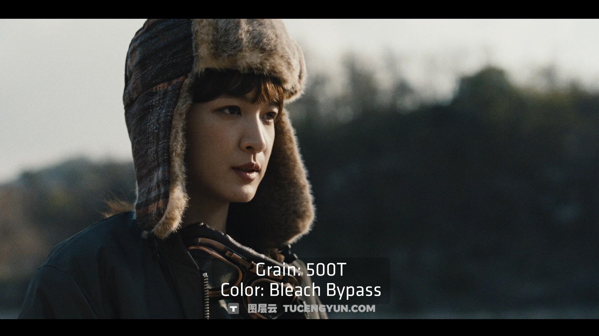 达芬奇插件：ARRI出品经典胶片模拟视频影像调色插件 ARRI Film Lab 1.0.2 for Resolve WIN版（14010）图层云