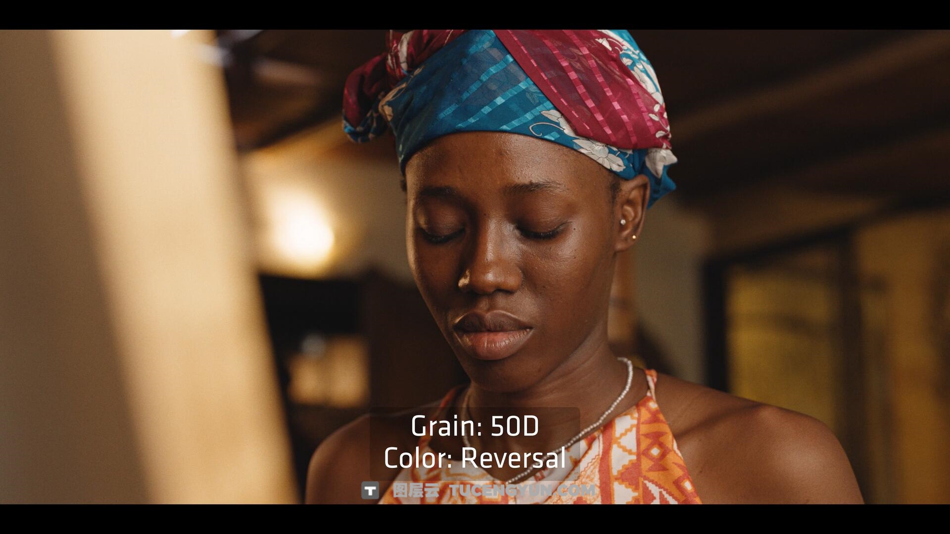 达芬奇插件：ARRI出品经典胶片模拟视频影像调色插件 ARRI Film Lab 1.0.2 for Resolve WIN版（14010）图层云