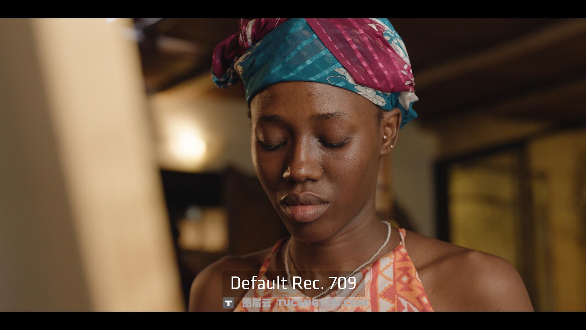 达芬奇插件：ARRI出品经典胶片模拟视频影像调色插件 ARRI Film Lab 1.0.2 for Resolve WIN版（14010）图层云