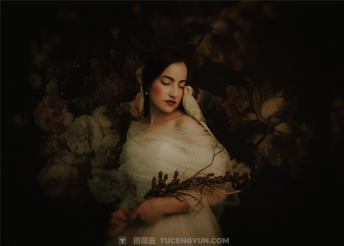 LR预设：欧式古典风格婚礼人像摄影Lightroom预设 Archipelago Quest 53 – Pittura（14012）图层云