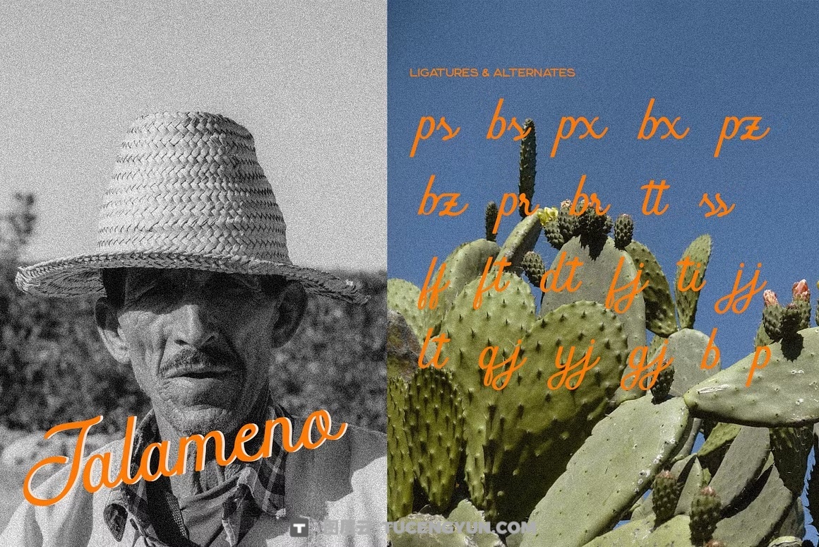 英文字体：真实自然流畅手写连笔笔触logo徽标标题排版封面海报请柬设计字体 Gelapitto Script Font（14028）图层云