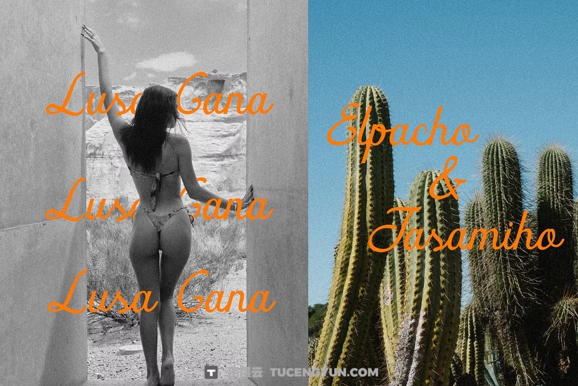 英文字体：真实自然流畅手写连笔笔触logo徽标标题排版封面海报请柬设计字体 Gelapitto Script Font（14028）图层云