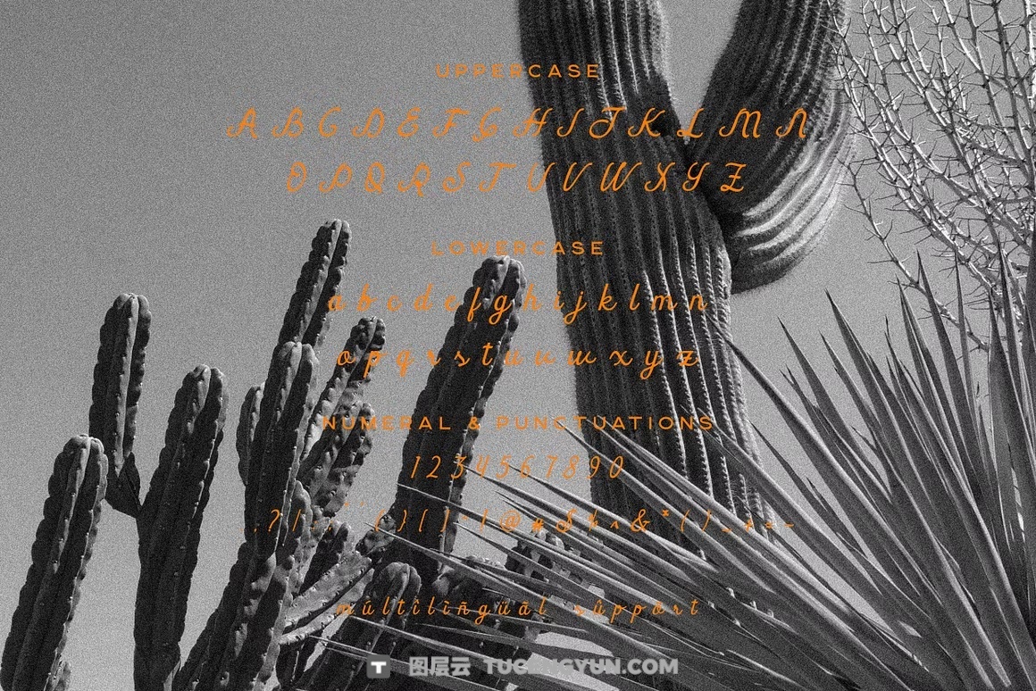 英文字体：真实自然流畅手写连笔笔触logo徽标标题排版封面海报请柬设计字体 Gelapitto Script Font（14028）图层云