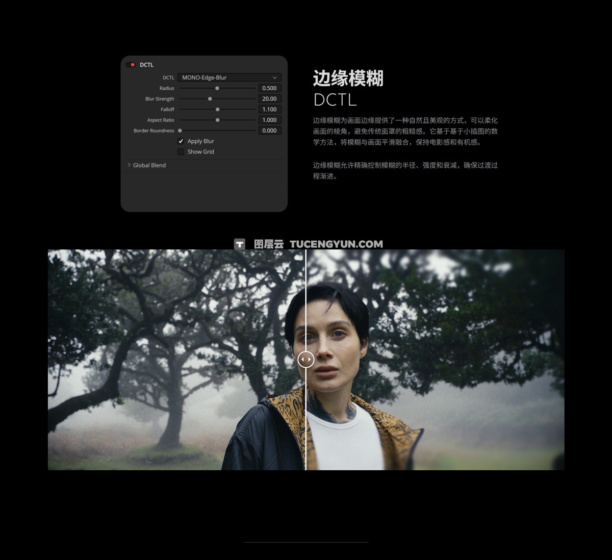 MONONODES – FILM ELEMENTS v2.0 DCTLS  真实胶片模拟颗粒、光晕、暗角、镜头畸变、闪烁、灰尘、污垢、毛发、瑕疵DCTL达芬奇插件图层云